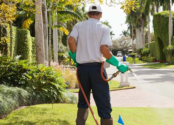 About Greenwood MS Pest Control